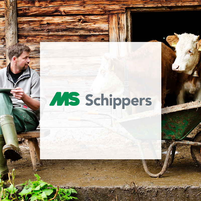 card-ms-schippers