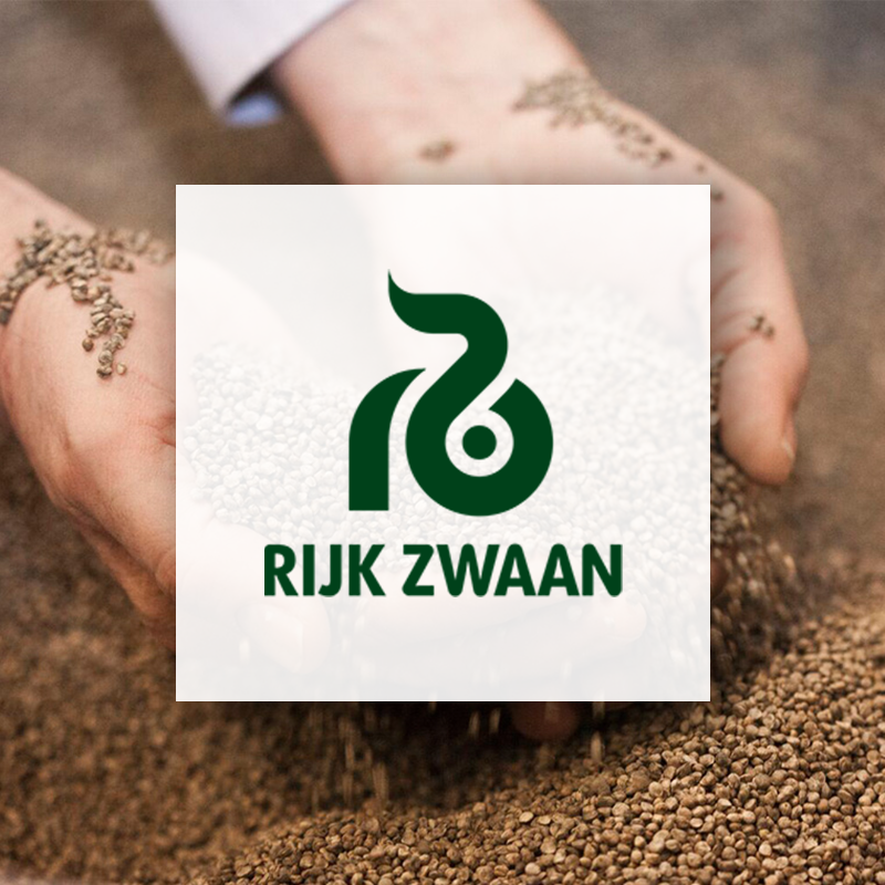 card-rijk-zwaan